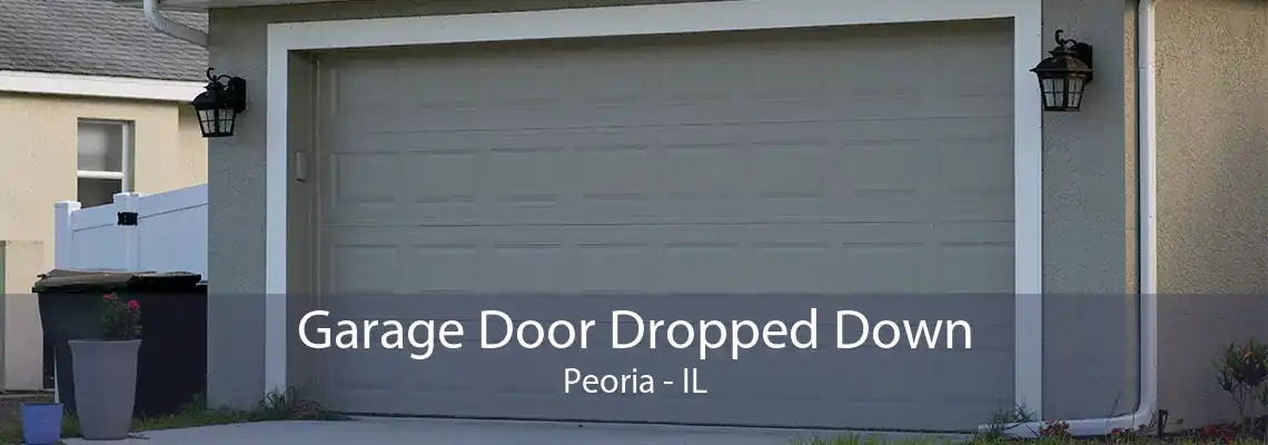 Garage Door Dropped Down Peoria - IL