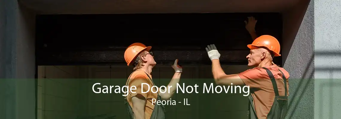 Garage Door Not Moving Peoria - IL