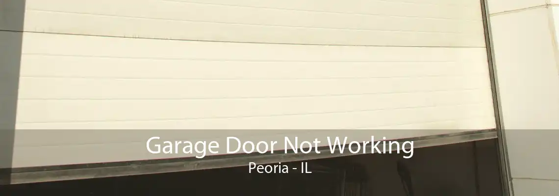 Garage Door Not Working Peoria - IL