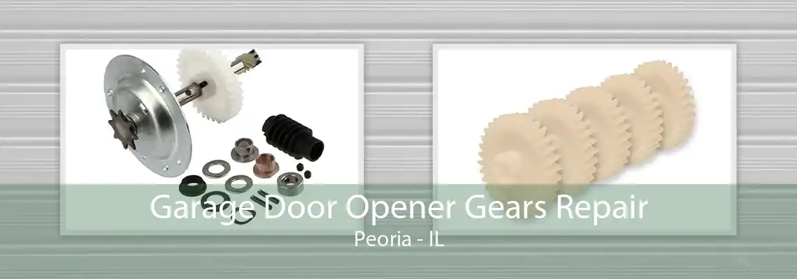 Garage Door Opener Gears Repair Peoria - IL