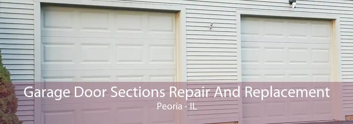 Garage Door Sections Repair And Replacement Peoria - IL