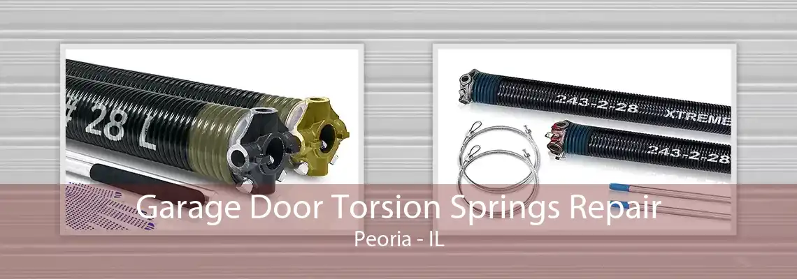 Garage Door Torsion Springs Repair Peoria - IL