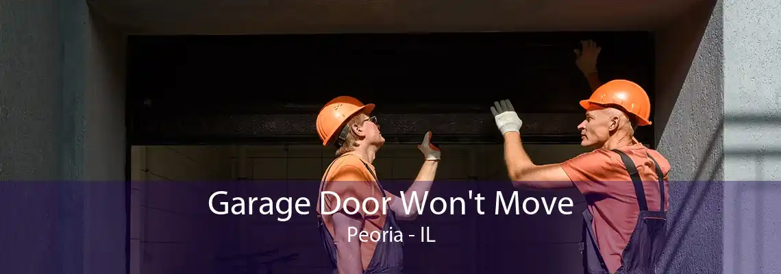 Garage Door Won't Move Peoria - IL