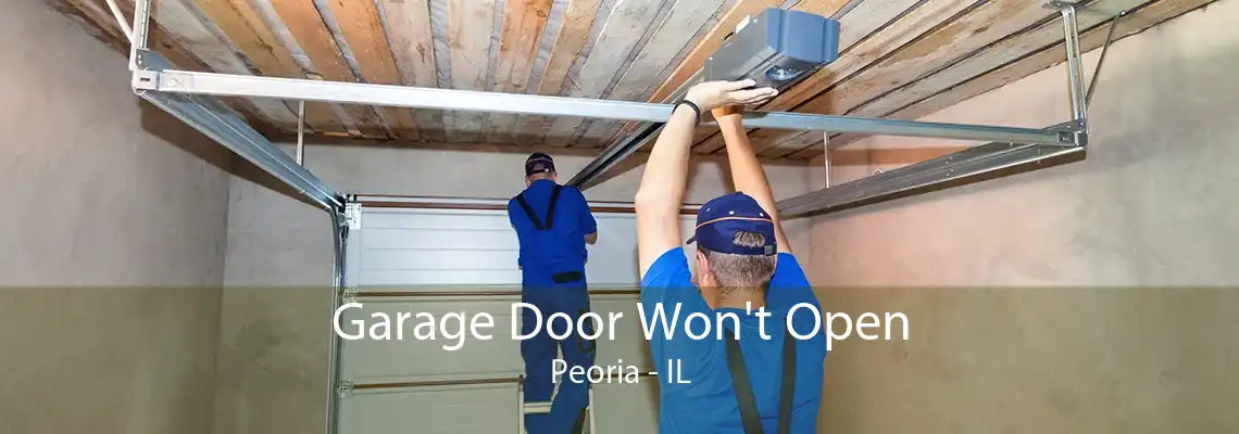 Garage Door Won't Open Peoria - IL