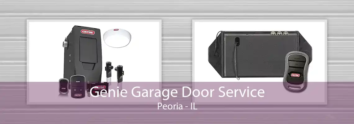 Genie Garage Door Service Peoria - IL